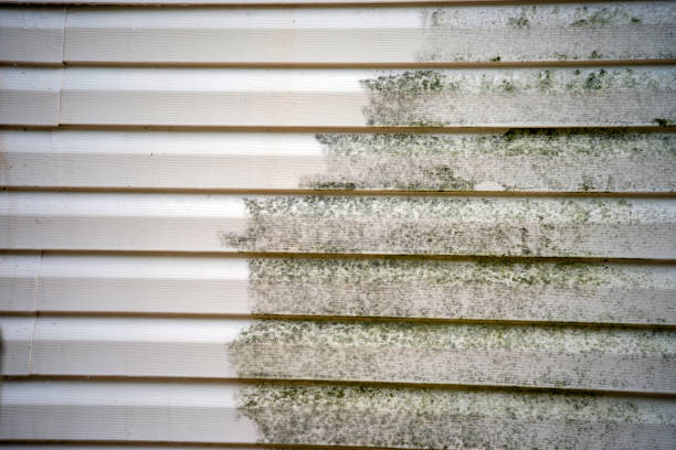 Best Fascia and Soffit Installation  in Jamesburg, NJ