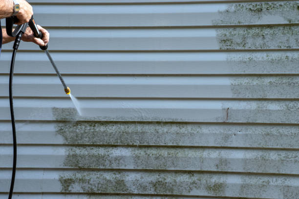 Best Brick Veneer Siding  in Jamesburg, NJ