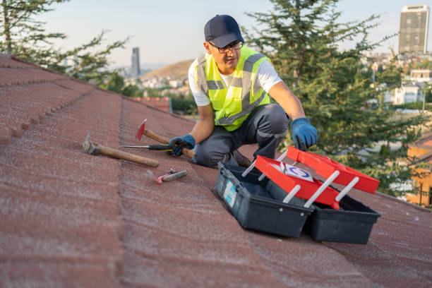 Best Historical Building Siding Restoration  in Jamesburg, NJ
